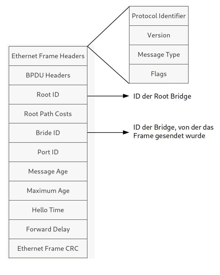 Netzwerktechnik STP Spanning Tree Protokoll