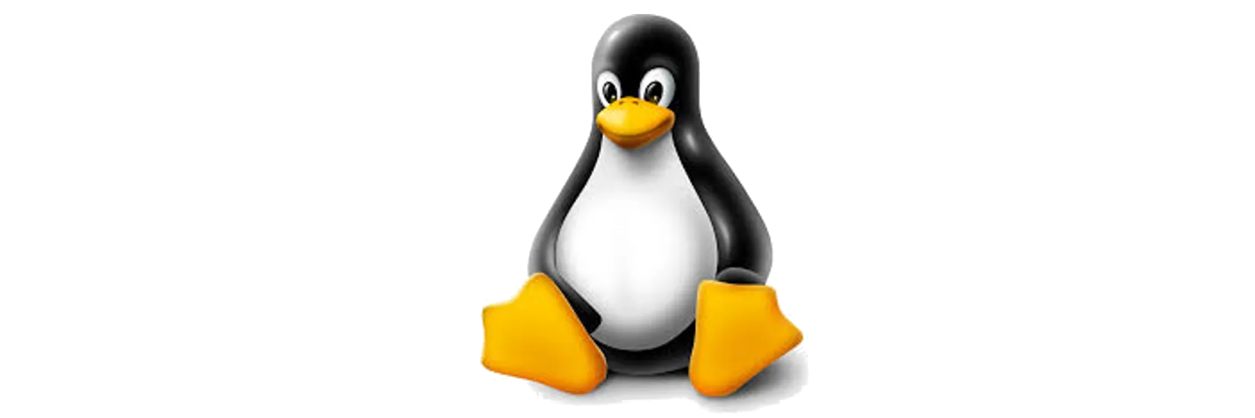 Linux ssh socks